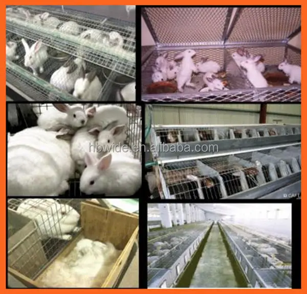 Metal Cheap Commercial Wholesale Rabbit Cage Breeding / Rabbit Farming