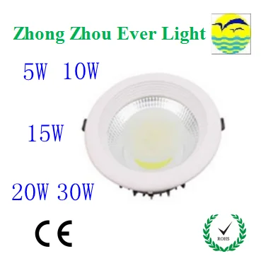 custom 5w 10w 15w 20w 30w cob led down light