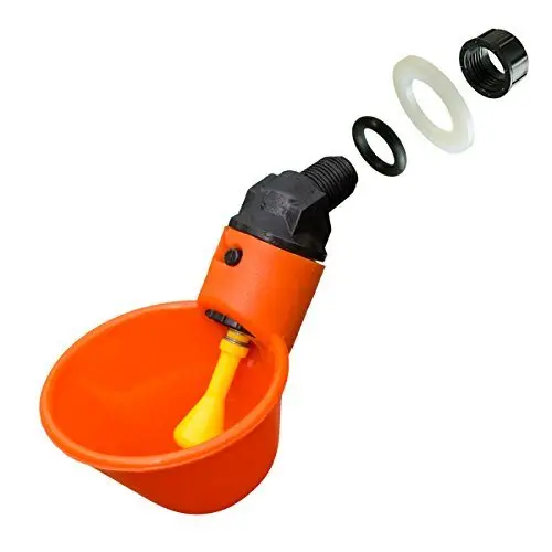 chicken drinkers.jpg