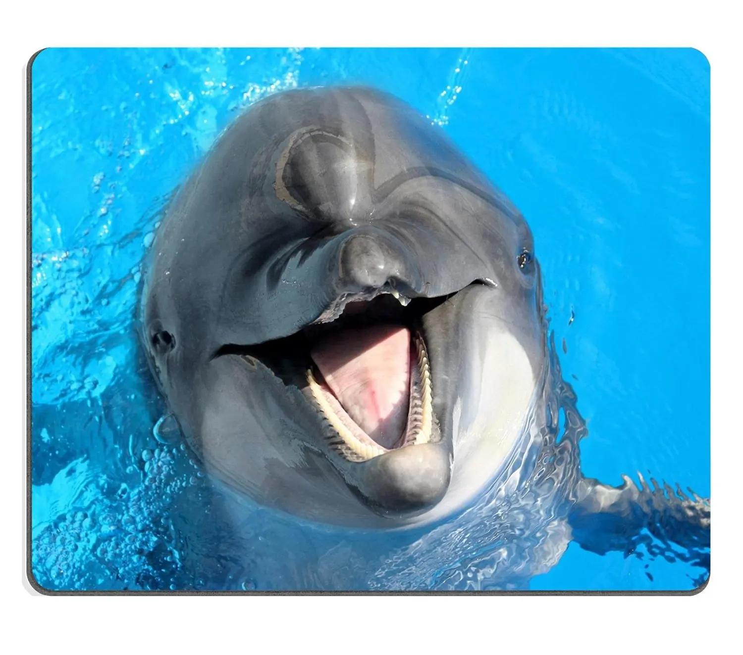 Дельфин улыбается под водой
