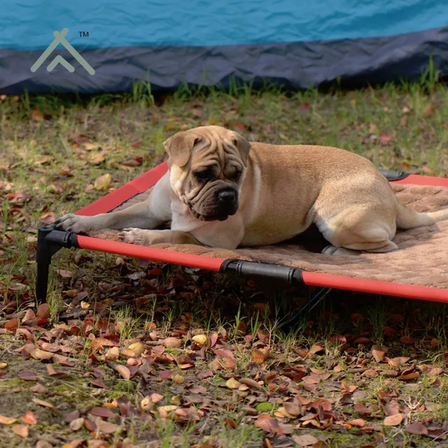 outdoors keep warmer water separated pet bed