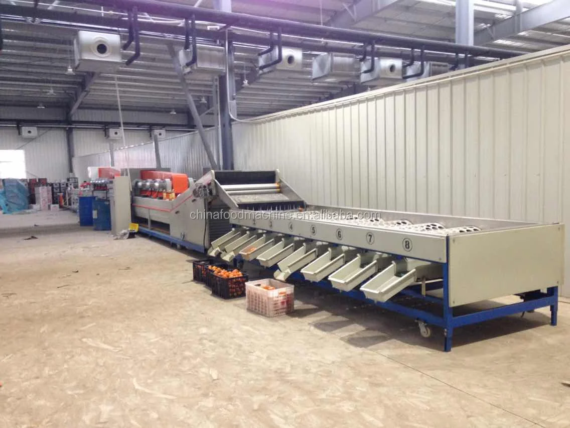 Машина для сортировки картофеля см. Сортировочная машина для гребешка hmc-5. 01. Машины для сортировки. Калибровочная сортировочная машина картофель.