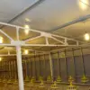Steel structure farm broiler poultry shed construction design chicken house