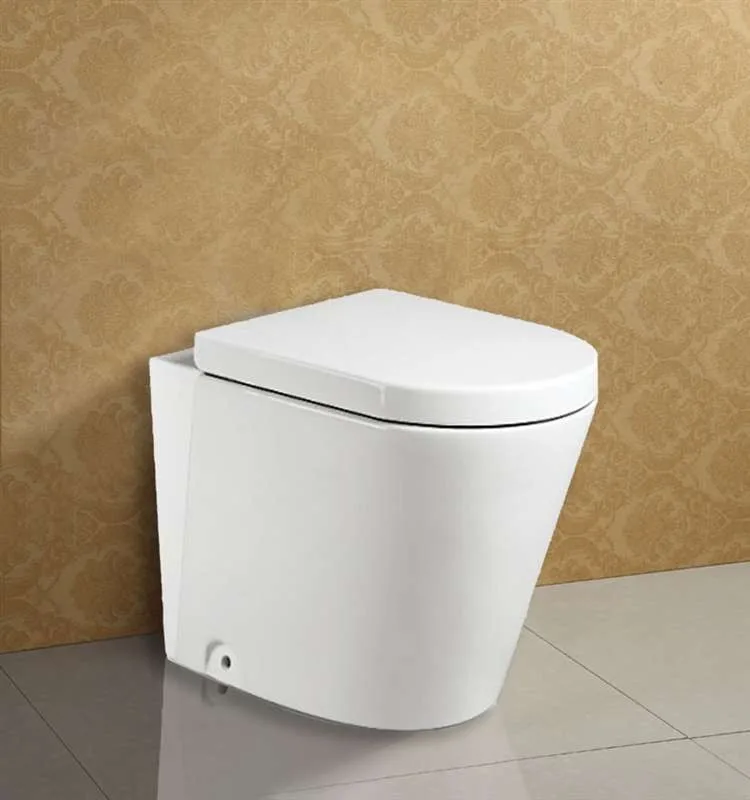 Modern Bathroom Floor Mounted Sitting Toilet With Concealed Cistern ...