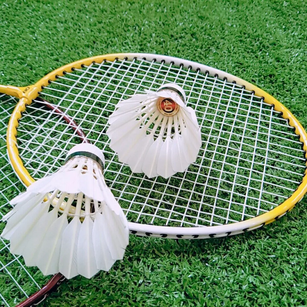 Download For Sale Cheap Price Duck Feather Lingmei Brand Badminton ...