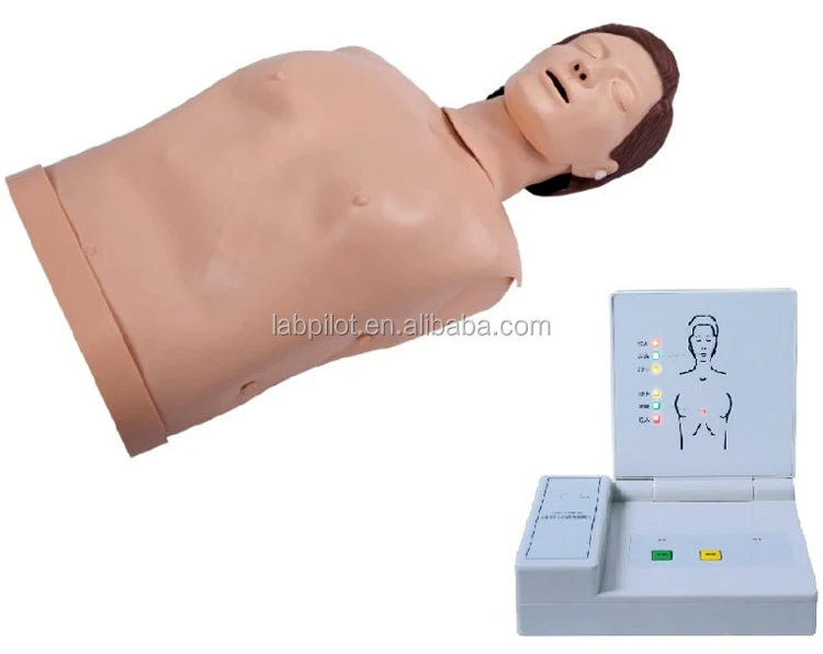 Computerized Adult Cpr Training Manikin Emergency Teaching Dummy Buy