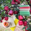 new design epe furit protective sleeve plastic foam packaging net