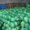 Packed cabbages mesh bag vegetables mesh packing plastic bags