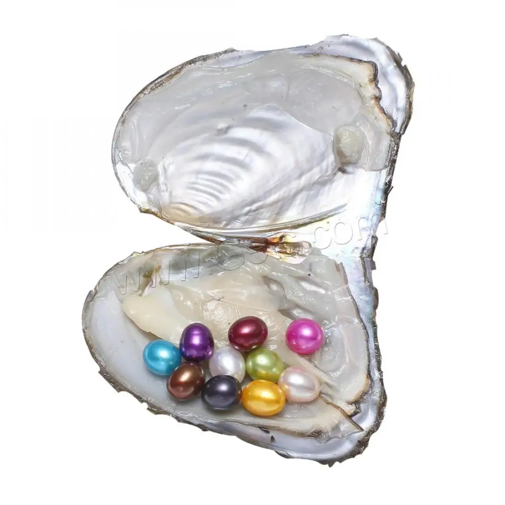 Perlas Ovaladas De Arroz Con Concha De Agua Dulce – DezLin