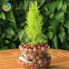 Water Storage Ceramsite Clay for water absorption and purity