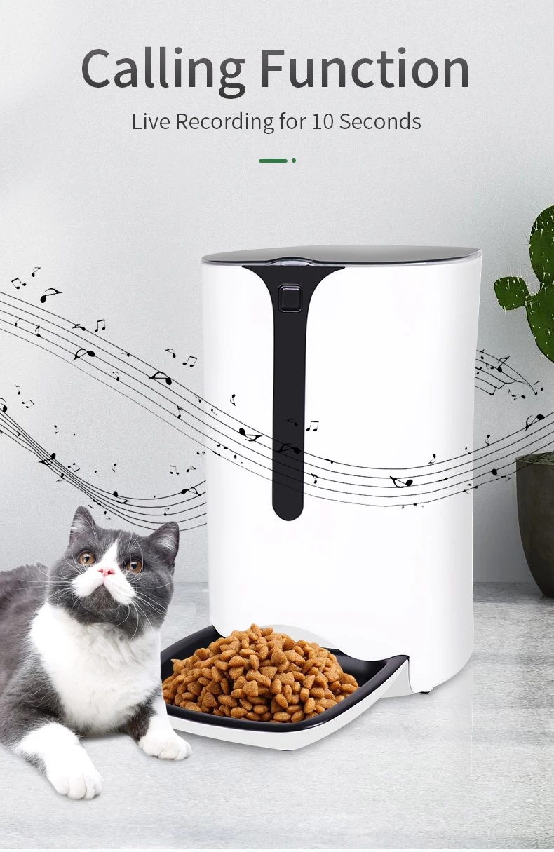 Oem Wholesale 6l With Camera Voice Dog Automatic Feeder Cat Feeder Food