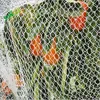 anti bird net/anti-bird net for catching birds from china