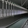 Slaughter Conveyor Line equipment for poultry slaughter house