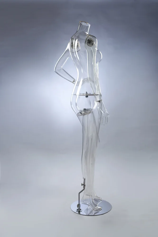 Top Sale Good Quality Full Body Female Transparent Mannequin Buy