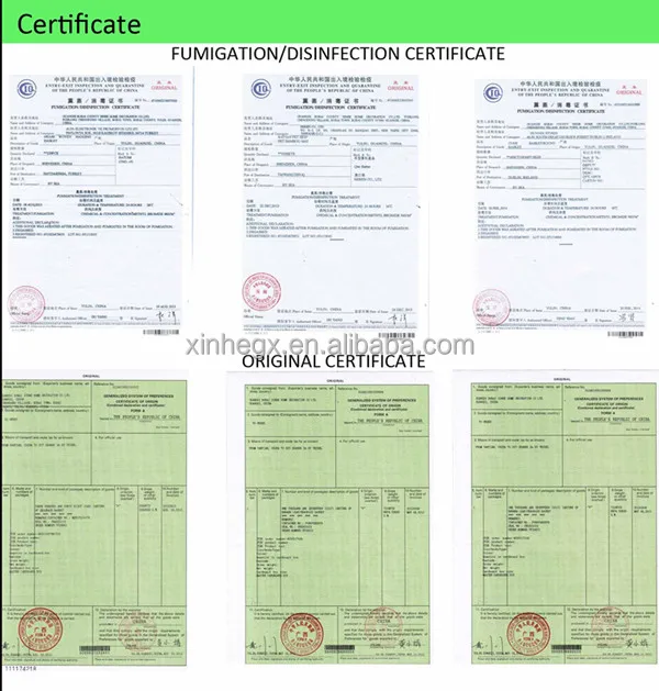 certificate_copy001.jpg