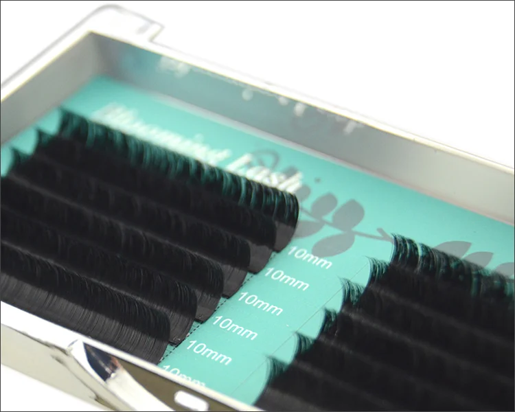 lash 008615666829271