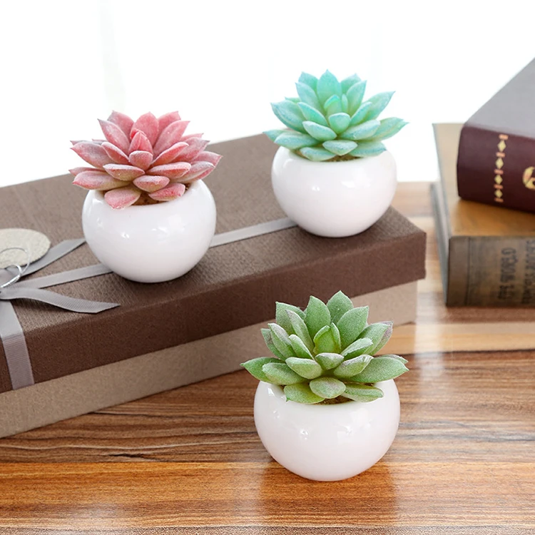 Small Succulent Pots Artificial Mini Succulent Cactus Plants Artificial