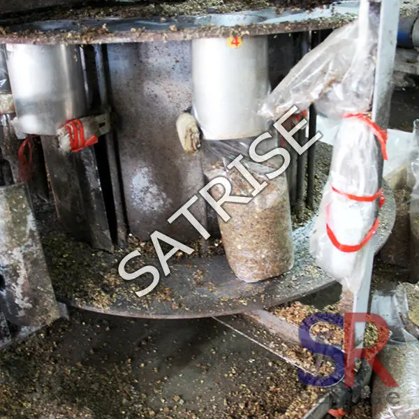 White Mushroom Cultivation Machinery/enoki Mushroom Cultivation Equipment Buy Mushroom
