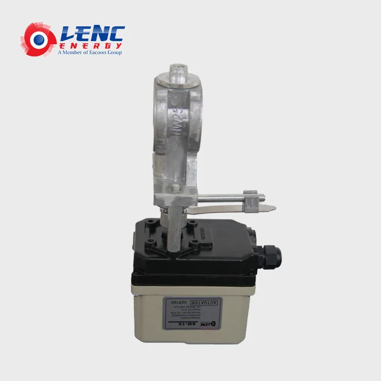 1.LC-SM-10.jpg