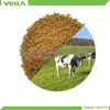 China zinc bacitracin 10%/15% powder and granular zinc bacitracin 15% cattle feed