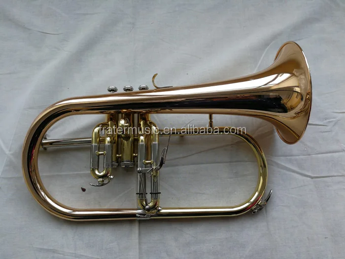 m2.jpg