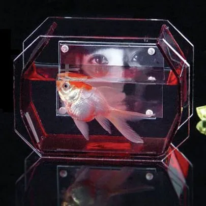 Acrylic fish tank (FT-009).jpg