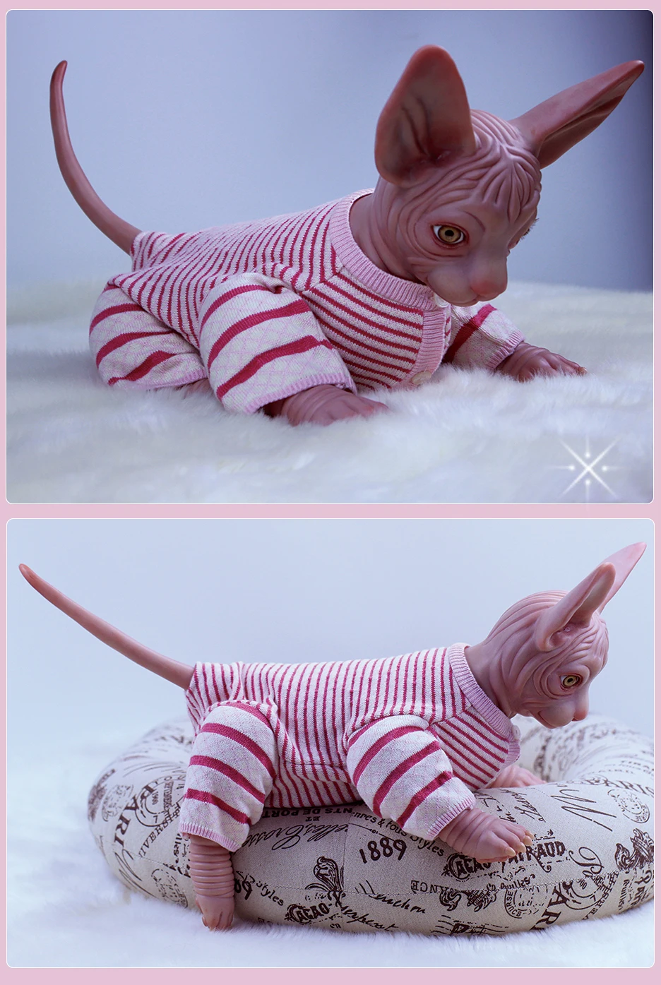 reborn sphynx cat