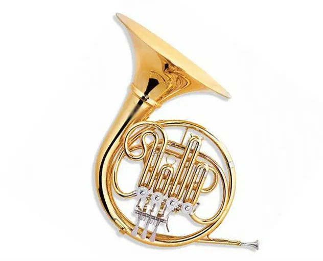 Xfh001 Professional Single French Horn Buy French Horn,Plastic French