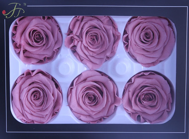 long lasting rose.jpg