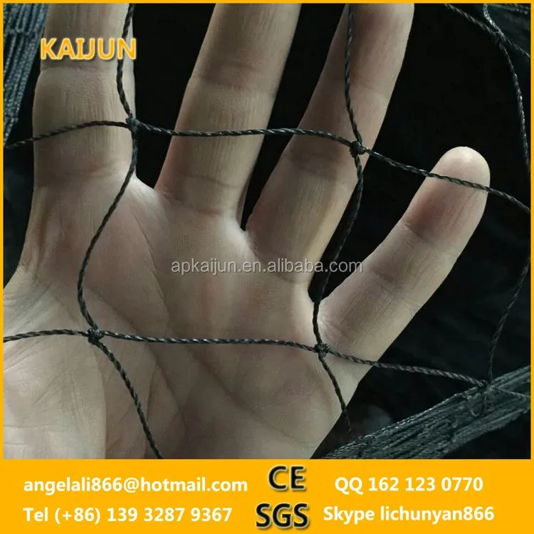 Soccer Baseball Fish Pests