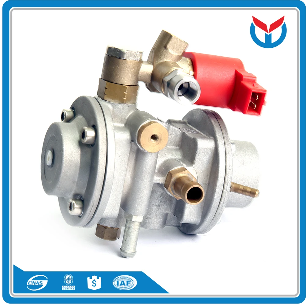 cng reducer regulator (2)