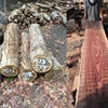 Nice grain/Perfect price Sonokeling kd timber from Indonesia for furniture
