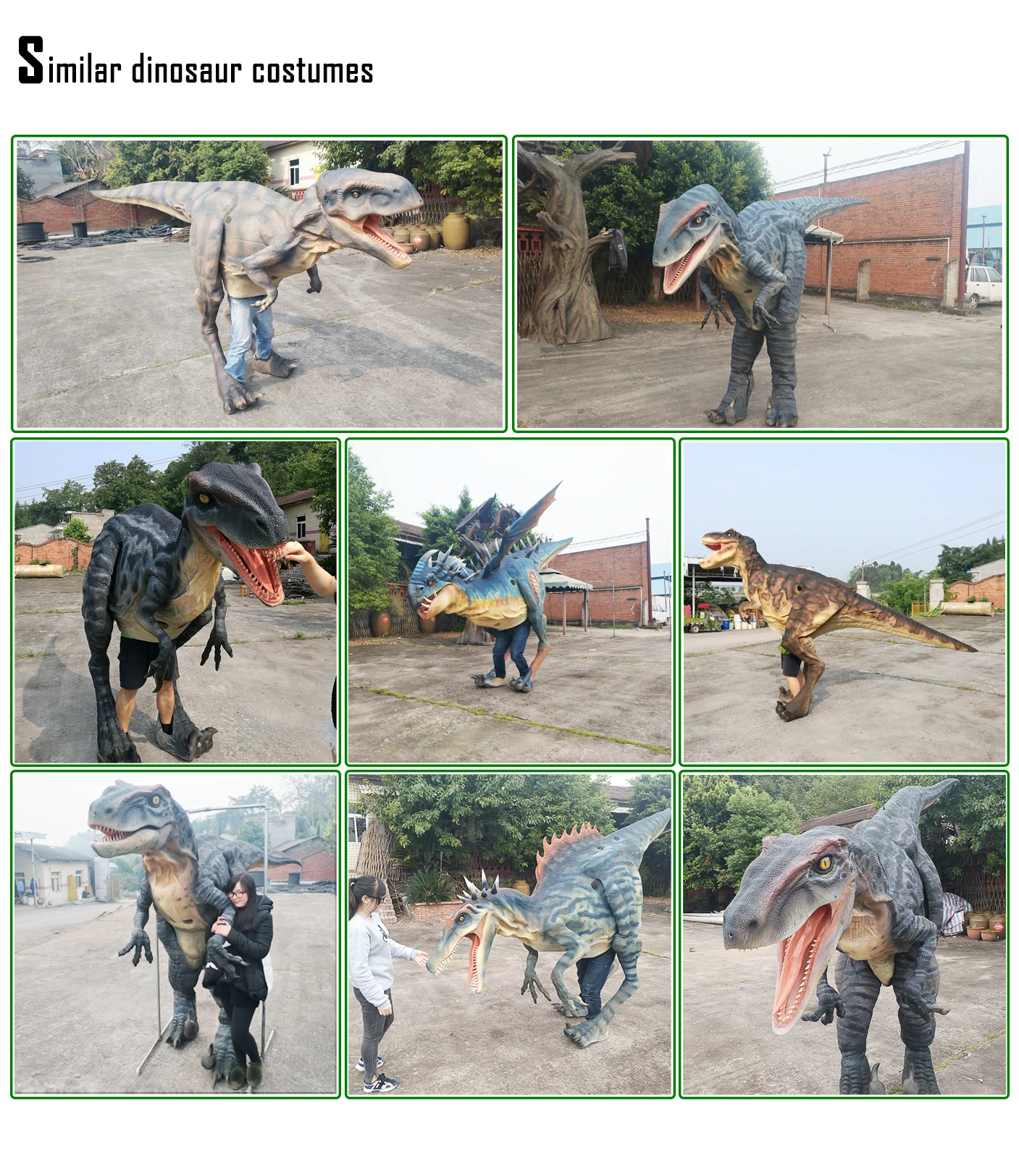 .jpg