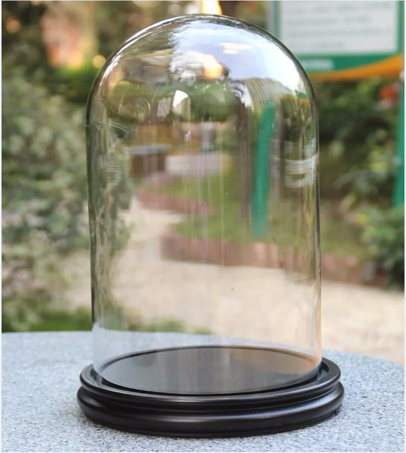 25x40cm Preserved Rose In Dome Glass Flower Dome Glass Dome Display