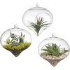 Borosilicate Decorative Custom Glass Terrarium Hanging Air Planter Vase