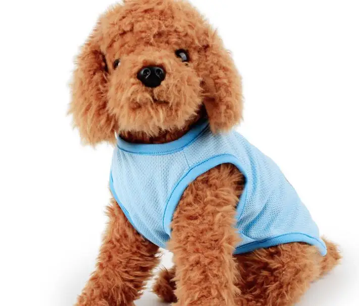 Alibaba Express China Market Pet Accessory Product Clothes For Dogs