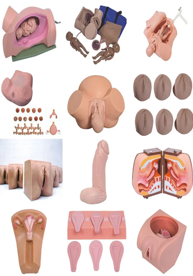 Birthing Simulator (3).png