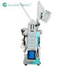 2019 newest Meizi Beauty Best selling 19 in 1 Multifunctional facial beauty machine