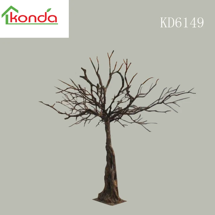 dry tree (13).jpg
