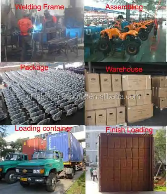 DB003 Wholesale 49cc Mini Dirt Bike Factory with CE, New Mini Motorcycle supplier for Children