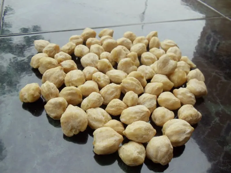 Kemiri