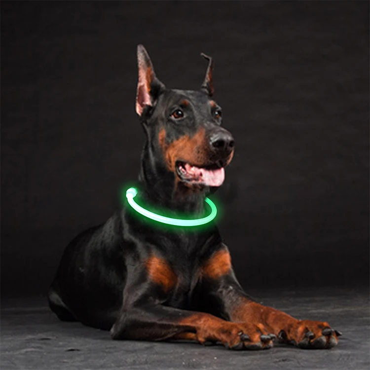 Custom Waterproof USB Rechargeable LED Lighting Dog Collar
