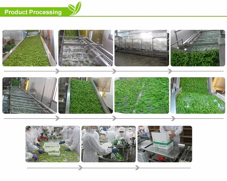 Bulk organic frozen edamame iqf cheap soybeans for sale