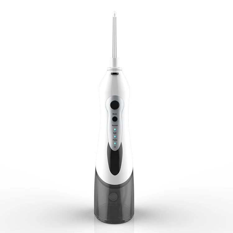 electric oral irrigator