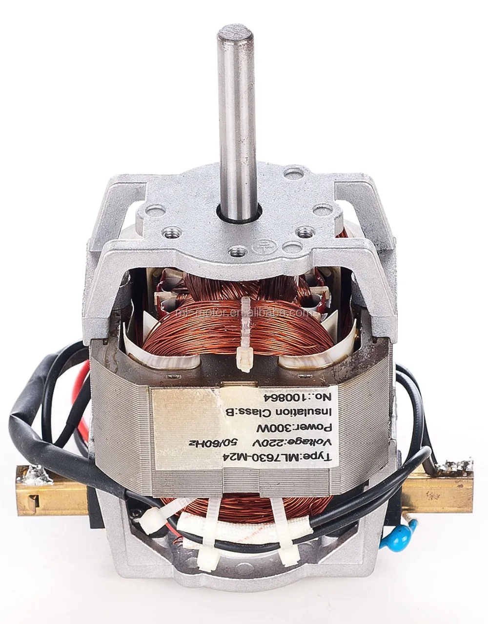 China Manufacturer 110v240v,100300w Ac Electric Series Juicer Motor (ml7630) Buy Juicer