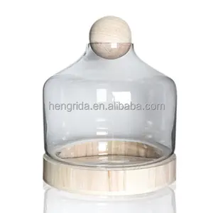 Terrarium Gl Dome Suppliers And Terrarium Gl Dome Supplieranufacturers At Alibaba