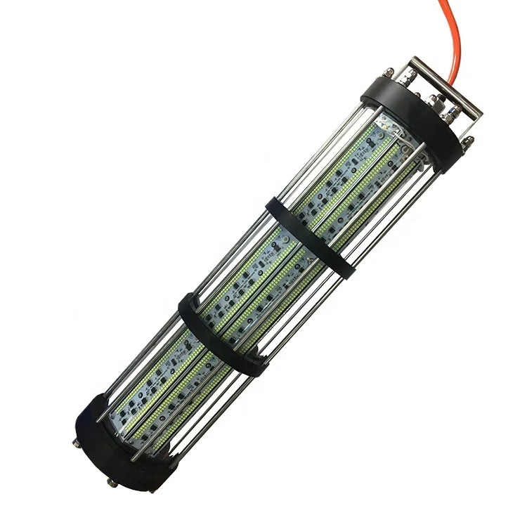 fishing light (9).jpg