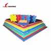 Thickness Pattern Taekwondo Mat Bright puzzle Gym Mat/Good Quality EVA Foam Tatami/Taekwondo Mats