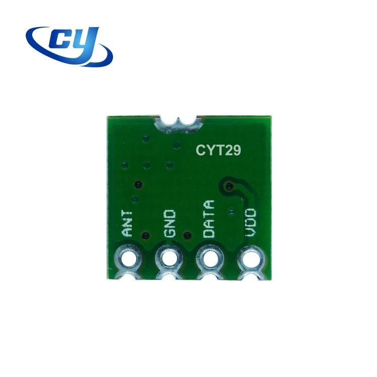 CYT29-2.jpg
