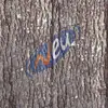 3D Sound insulation board wood proofing wall panel, decoration wall panels, faux wood